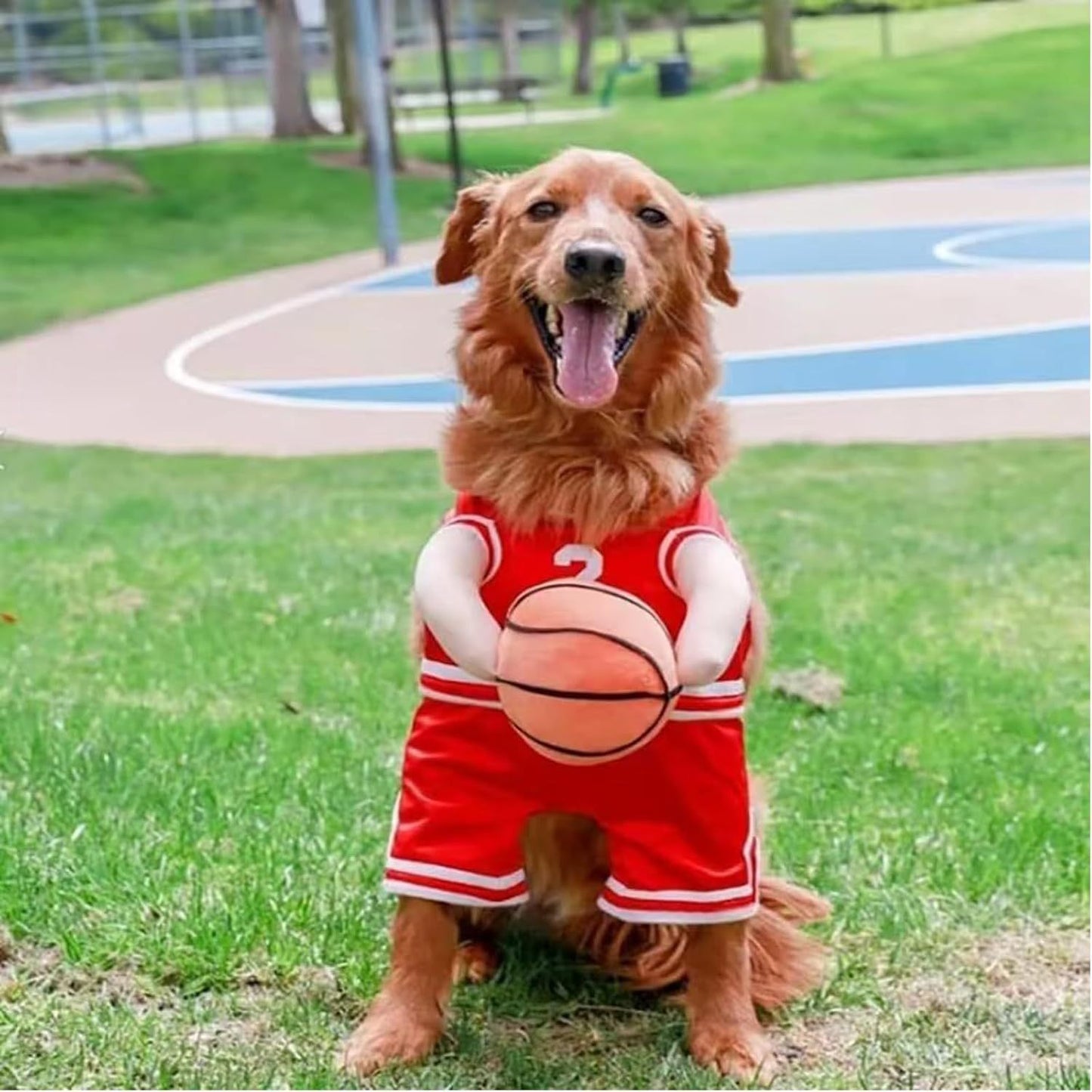 Funny Basketball Player Dog Costume | Halloween And Party Outfit for Dogs beds