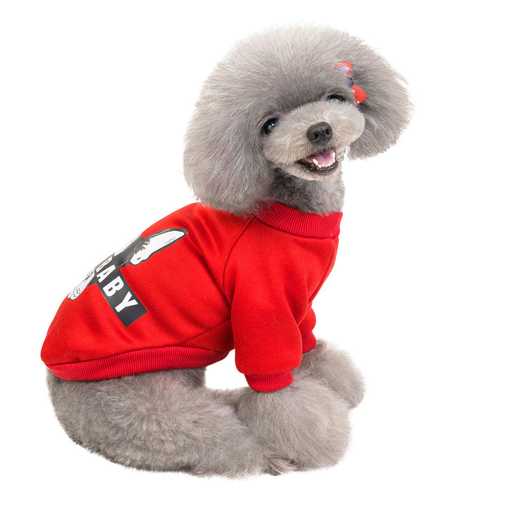 Dog Sweater: Cute Cartoon Fashion Sweater for Small to Medium Dogs Accessories