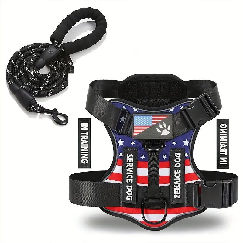 Adjustable Nylon Dog Harness and Leash Set with Hand Grip - Accessories