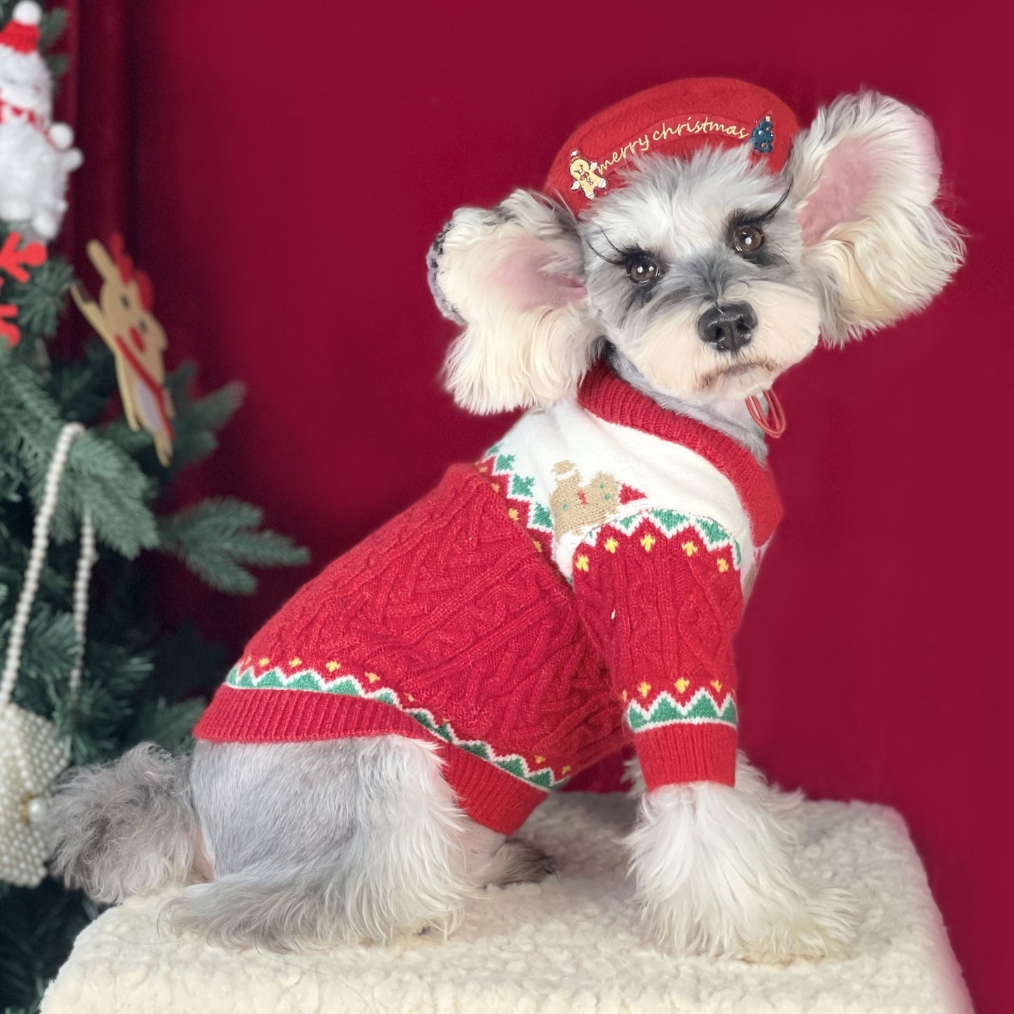 Christmas Style Wool Dog Sweater Red and Green Dog Apparel beds
