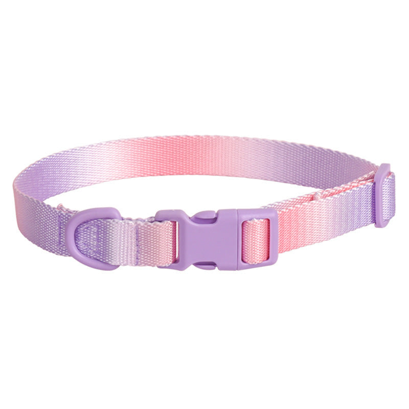 Adjustable Gradient Nylon Dog Collar | Stylish Collar For All Dogs Plastic purple powder / L collar