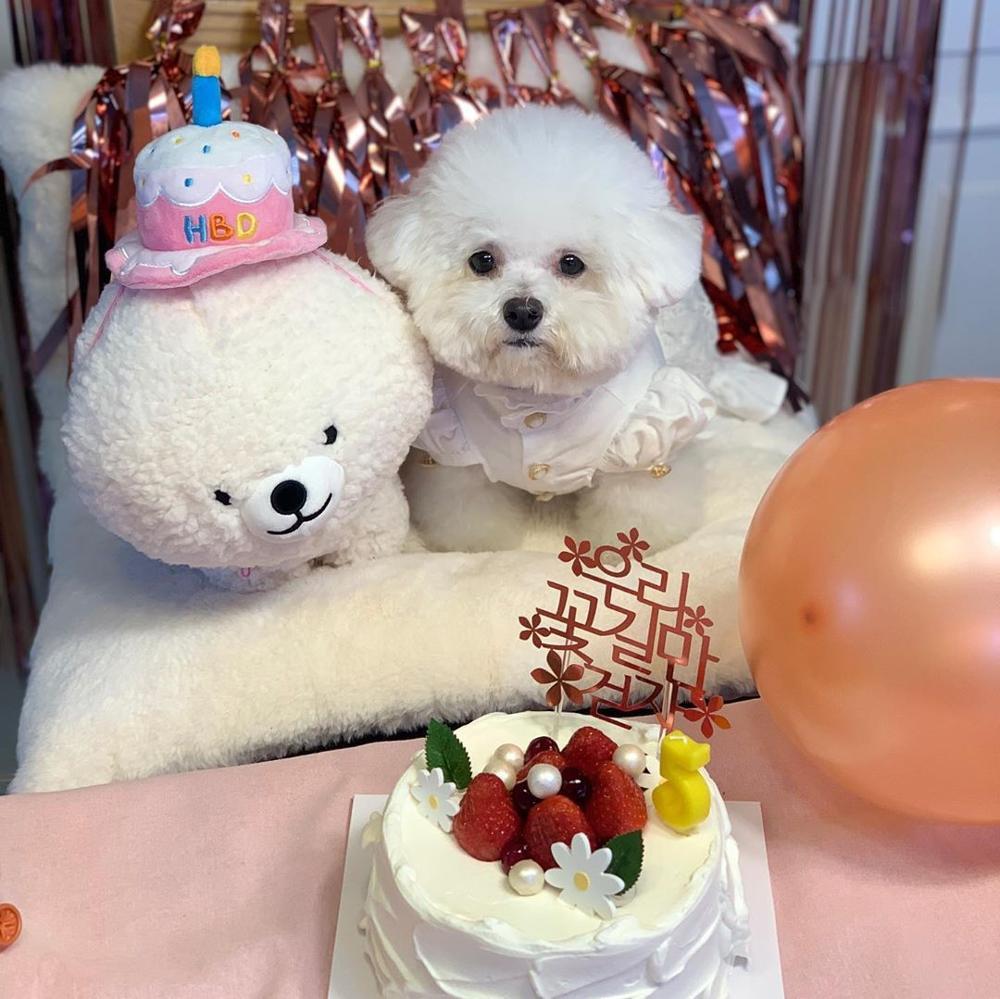 Cute Dog Birthday Hat Creative Party Accessory Cake hat birthday