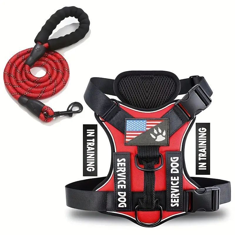 Adjustable Nylon Dog Harness and Leash Set with Hand Grip - Accessories