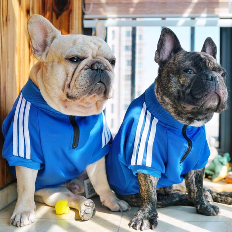 Three Stripe Dog Sweater: European Style Quarter Zip Dog Pullover Blue / L Accessories