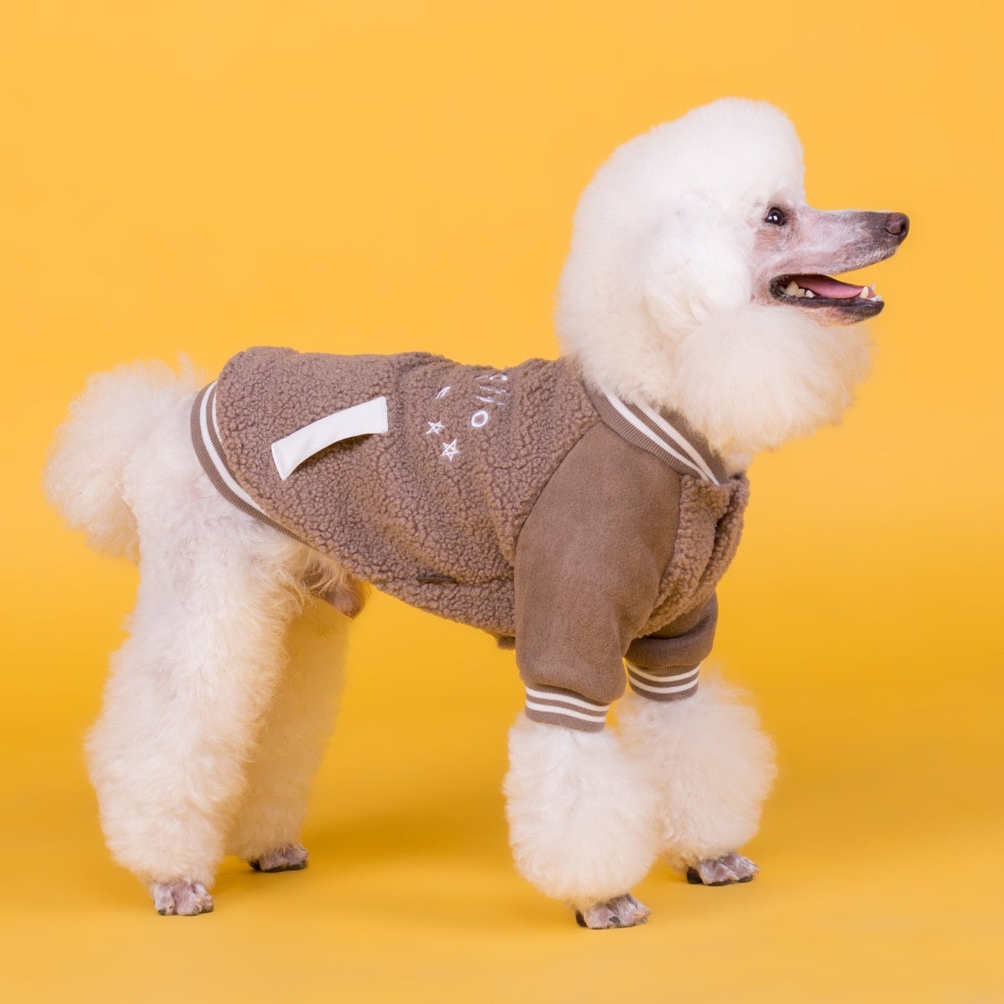 Plaid Dog Winter Coat | Casual Cotton Jacket for Dogs - Coats & Dog Vests