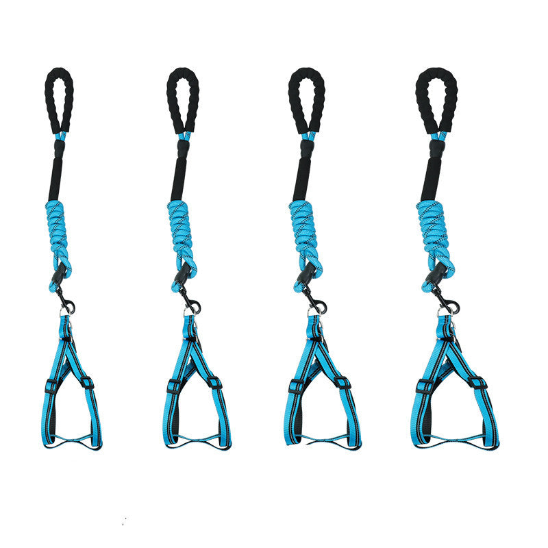 Reflective Nylon Dog Leash | Fixed-Length Dog Leash - Blue / L / 1.5m - leash