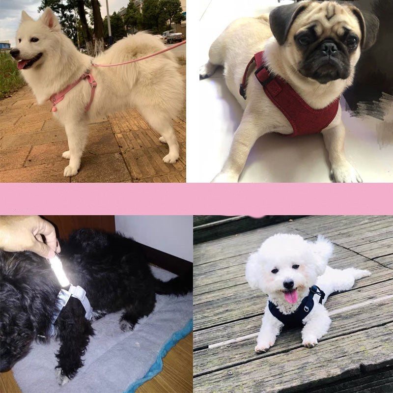 Lightweight And Reflective Dog Harness and Leash Set | Adjustable Chest Strap for All Dog Sizes - harness
