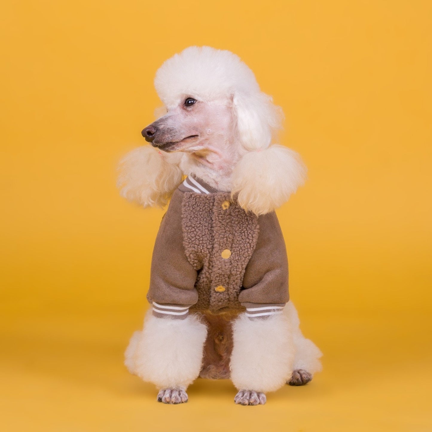 Plaid Dog Winter Coat | Casual Cotton Jacket for Dogs - Coats & Dog Vests