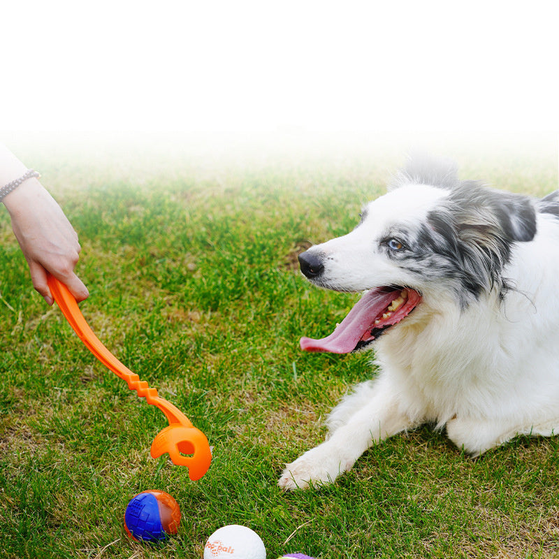 Dog Toy Ball Launcher with Training Picking Club and Tennis Balls for Active Dog Play - outdoor
