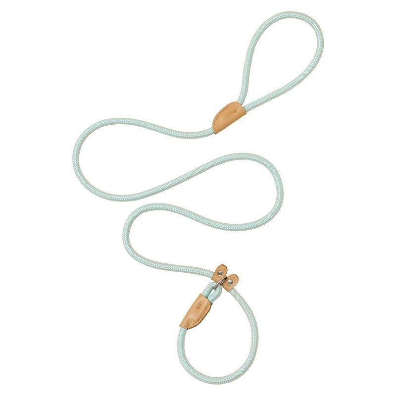 Vibrant Nylon Dog Leash | Durable Dog Lead with Multiple Colors - Dog Collars & Leashes