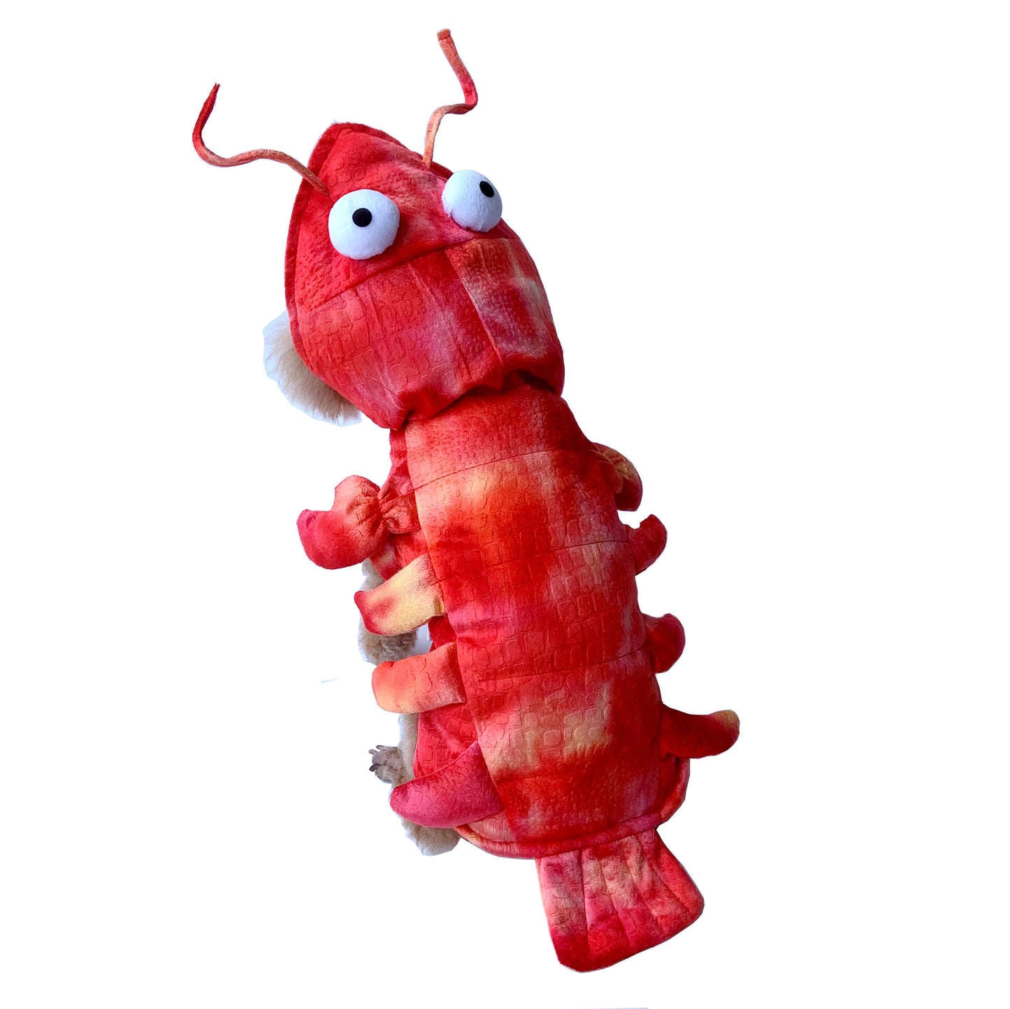 Lobster Halloween Dog Costume | Funny Two Legged Outfit for Dogs beds