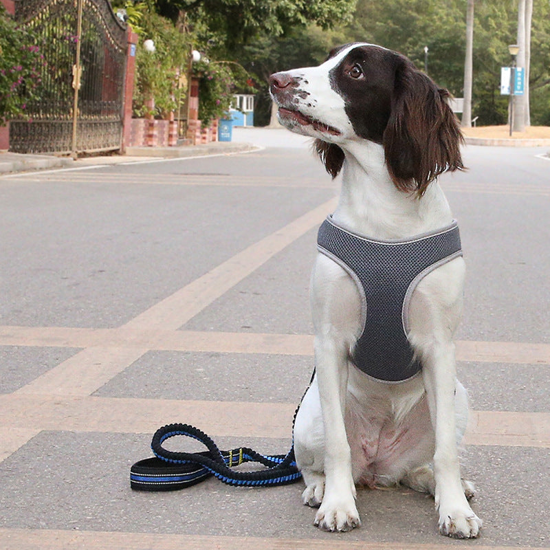 Polyester Dog Vest Harness | Adjustable Chest Strap for Pets - harness