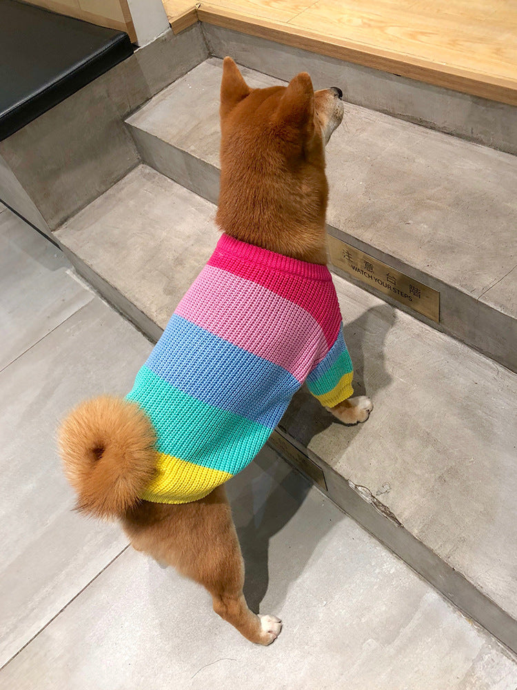 Rainbow Dog Sweater: Soft Wool Knit Dog Jumper for All Seasons Accessories