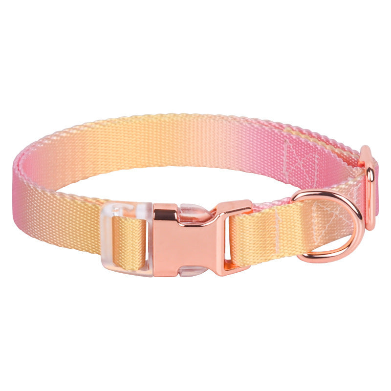 Adjustable Gradient Nylon Dog Collar | Stylish Collar For All Dogs Semimetal Pink Yellow / L collar