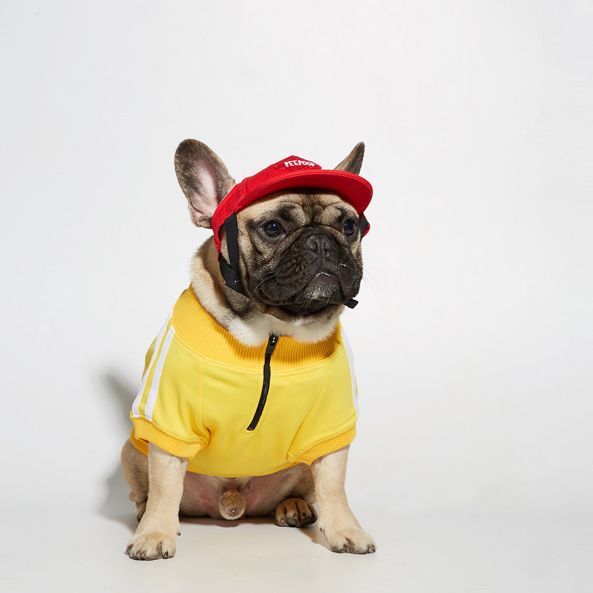 Three Stripe Dog Sweater: European Style Quarter Zip Dog Pullover Yellow / L Accessories