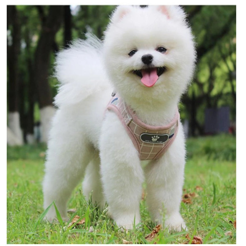 Plaid Dog Harness And Leash Set | Non-Scalable Vest for Small Dogs - harness