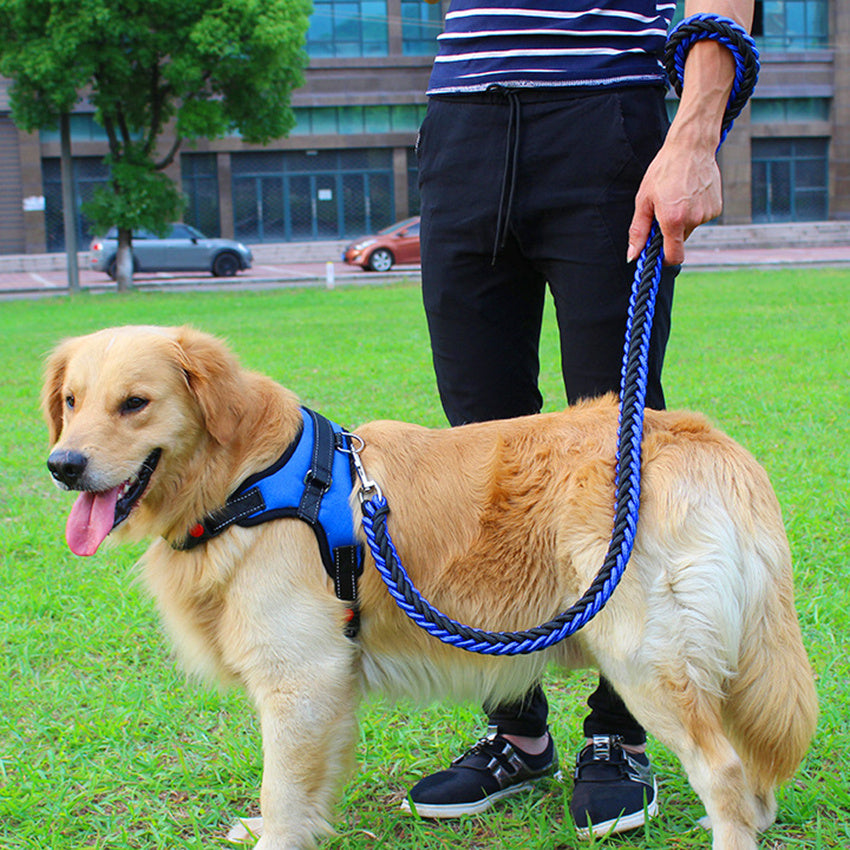 Adjustable Saddle Dog Harness And Leash: Breathable Chest Strap for Dog Walking - Accessories