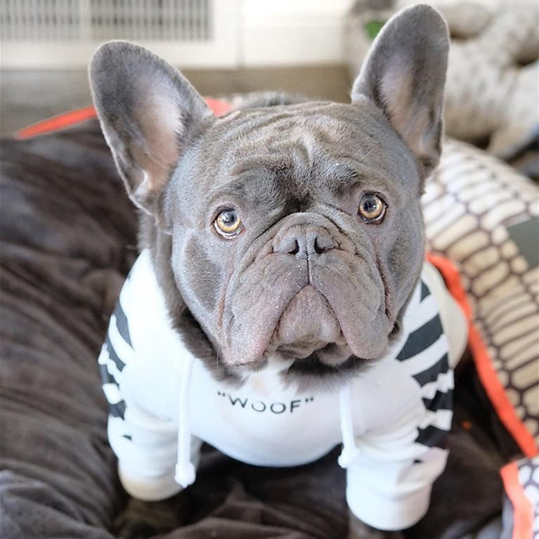 Sports Style Three Stripe Dog Sweater | Warm Fashionable Winter Dog Coat beds