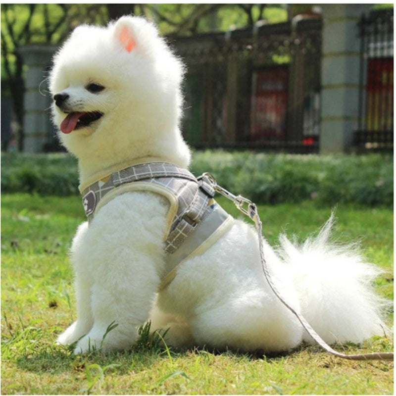 Plaid Dog Harness And Leash Set | Non-Scalable Vest for Small Dogs - harness
