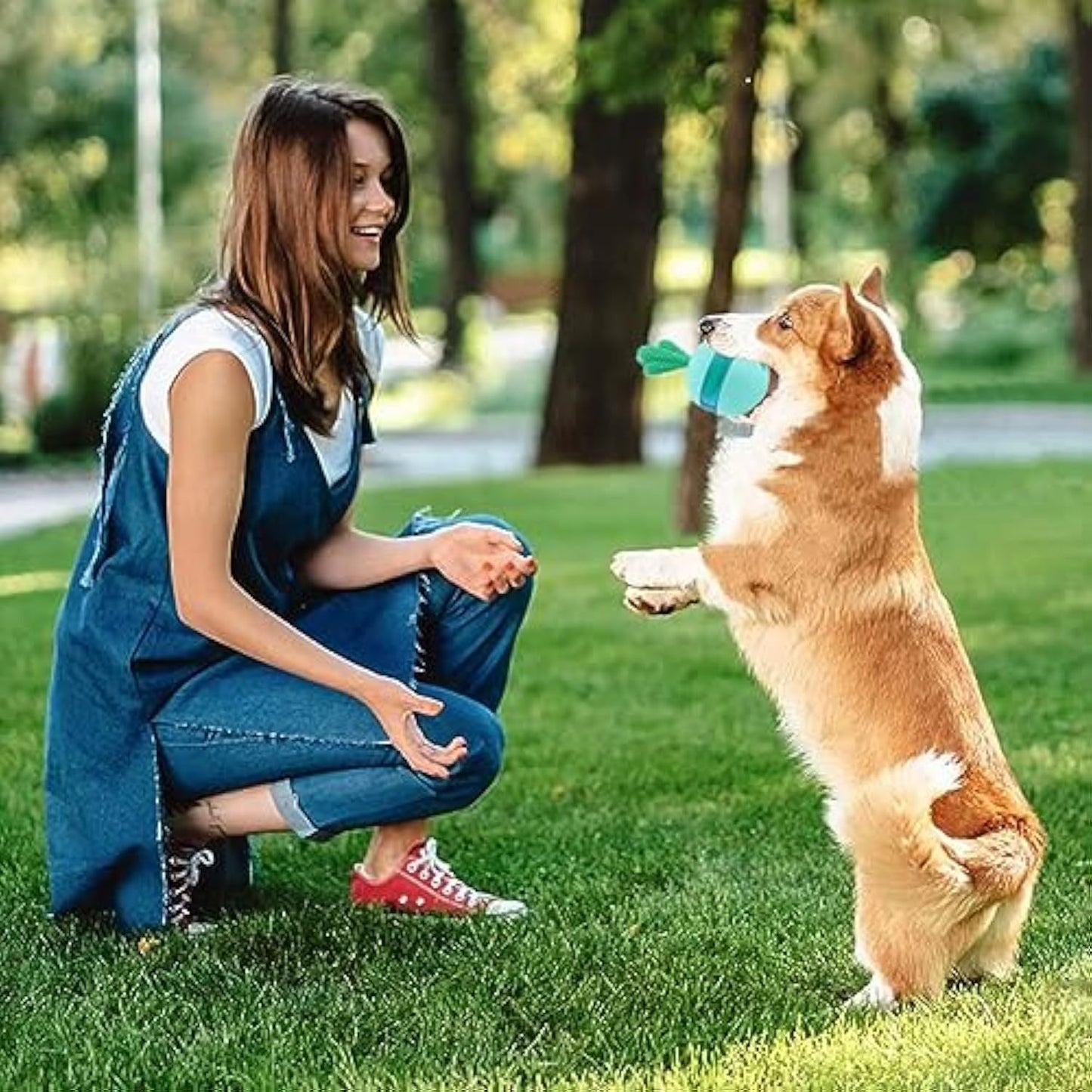 Interactive Treat Dispenser Dog Puzzle Toy To Train IQ beds