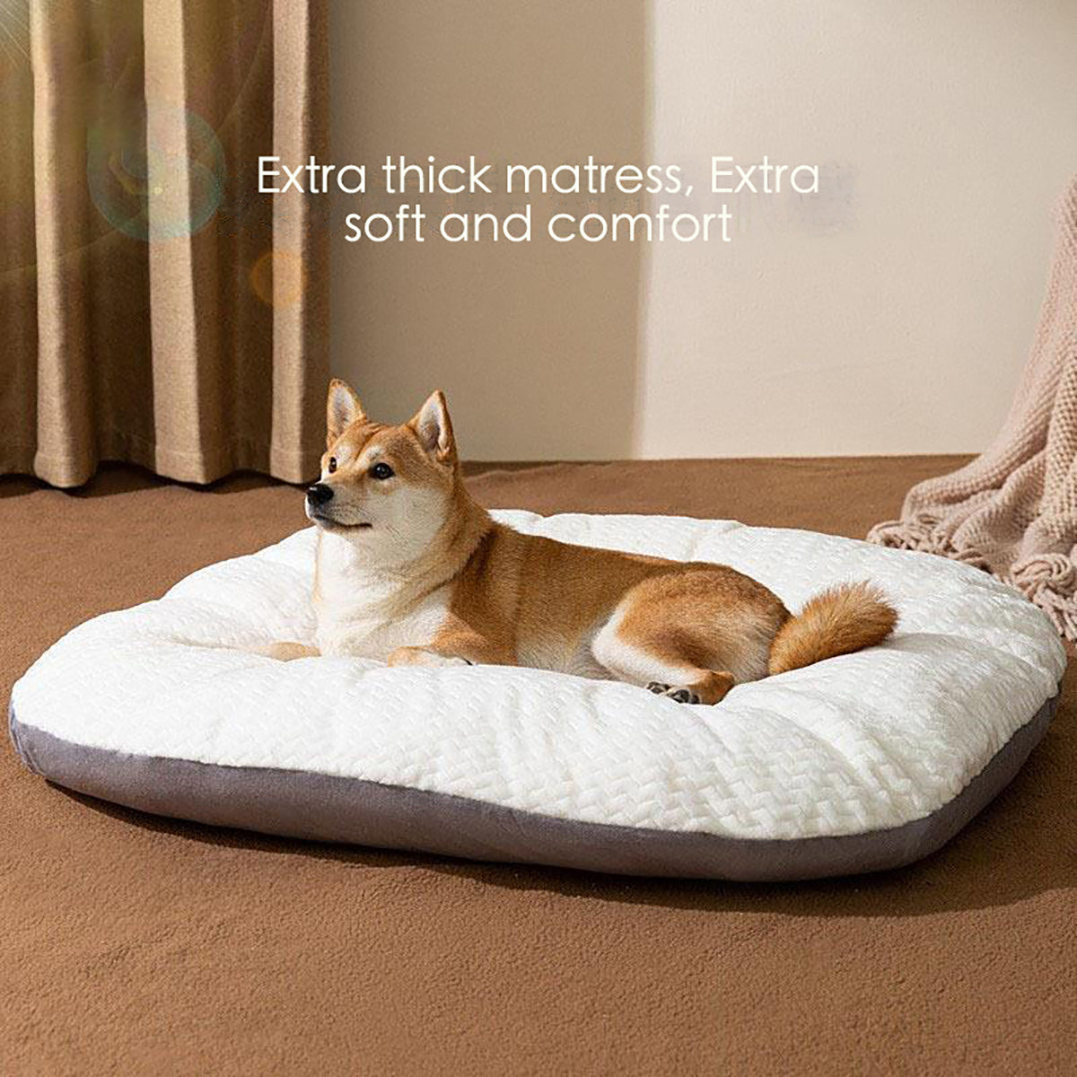 Oval Plush Dog Bed for Crates | Washable Cushion for Large Dogs beds