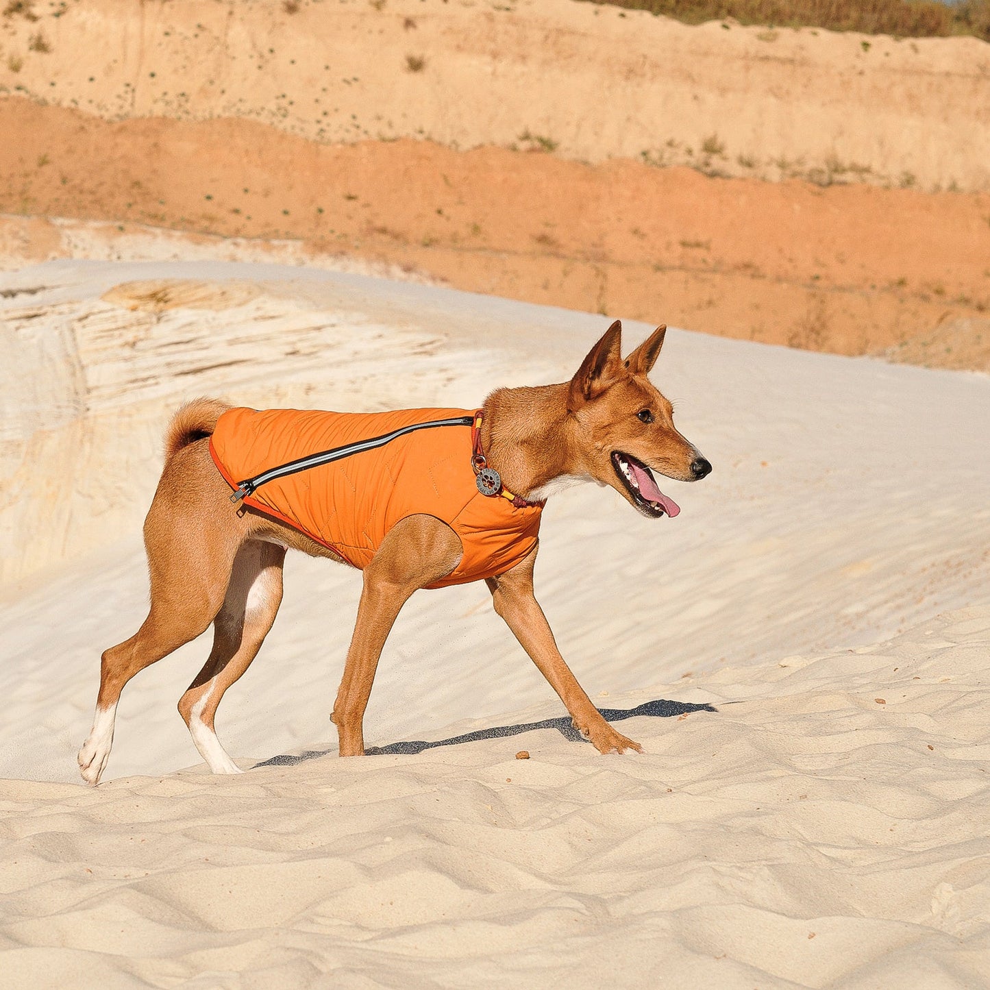 Eco-Friendly Waterproof Dog Rain Jacket with Reflective Zipper - Pets