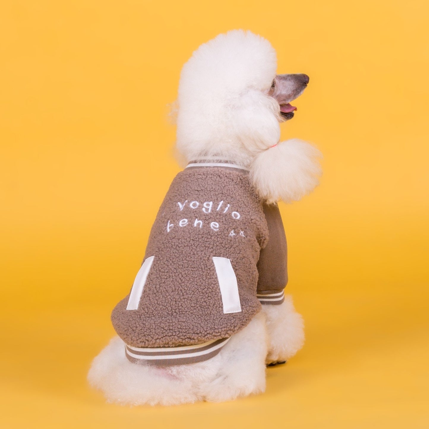Plaid Dog Winter Coat | Casual Cotton Jacket for Dogs - Coats & Dog Vests