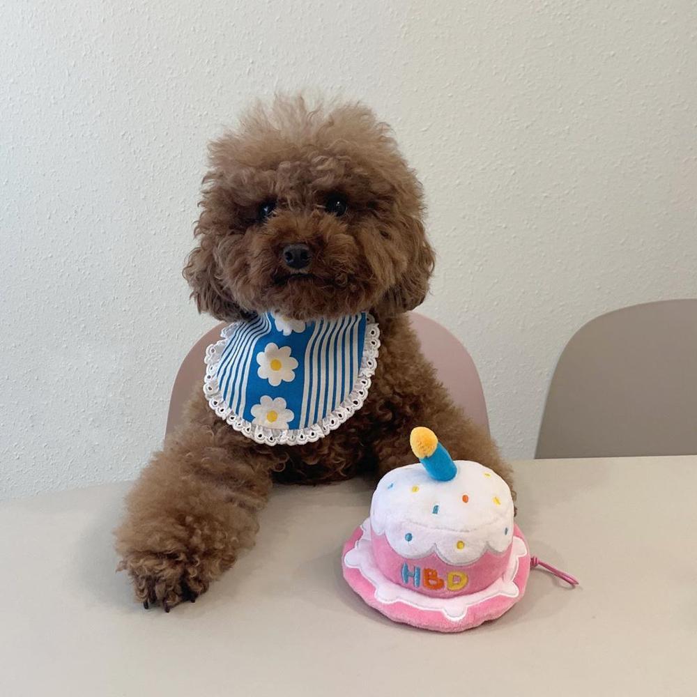 Cute Dog Birthday Hat Creative Party Accessory Cake hat birthday