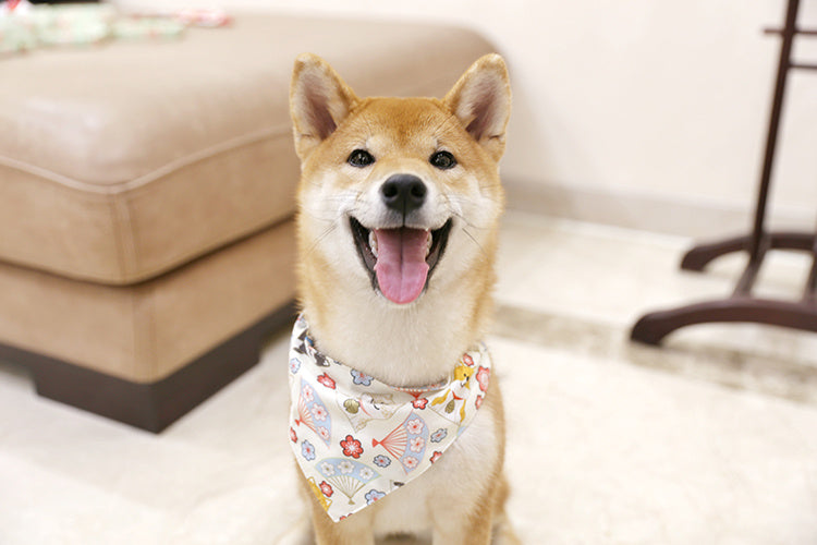 Japanese Style Dog Saliva Towel: Triangle Scarf Collar And Bandana Accessories