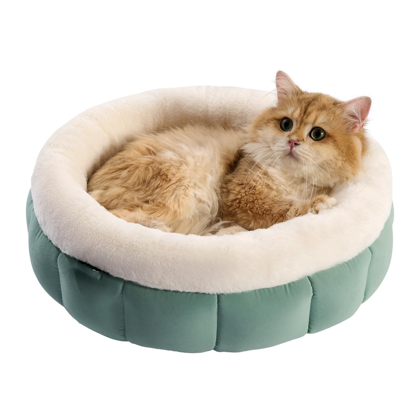 Washable Donut Dog Bed For Dogs | Calming Plush Cushion for Dogs Green / L beds