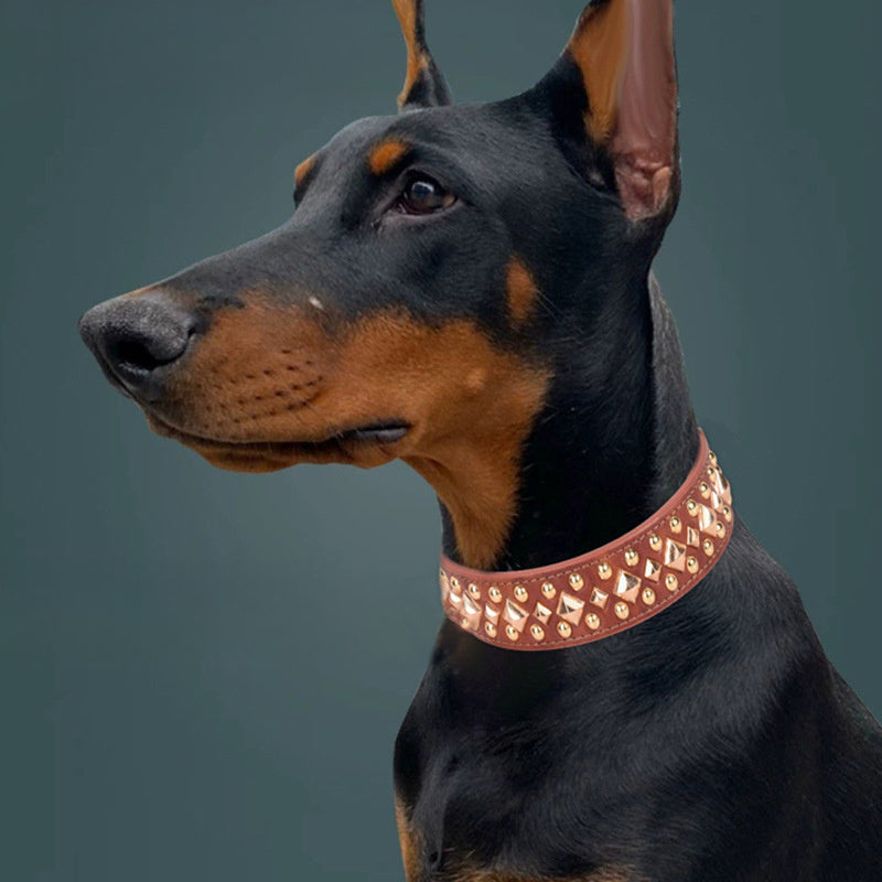Rivet Golden Leather Dog Collar | Retro Style Dog Collar Accessories