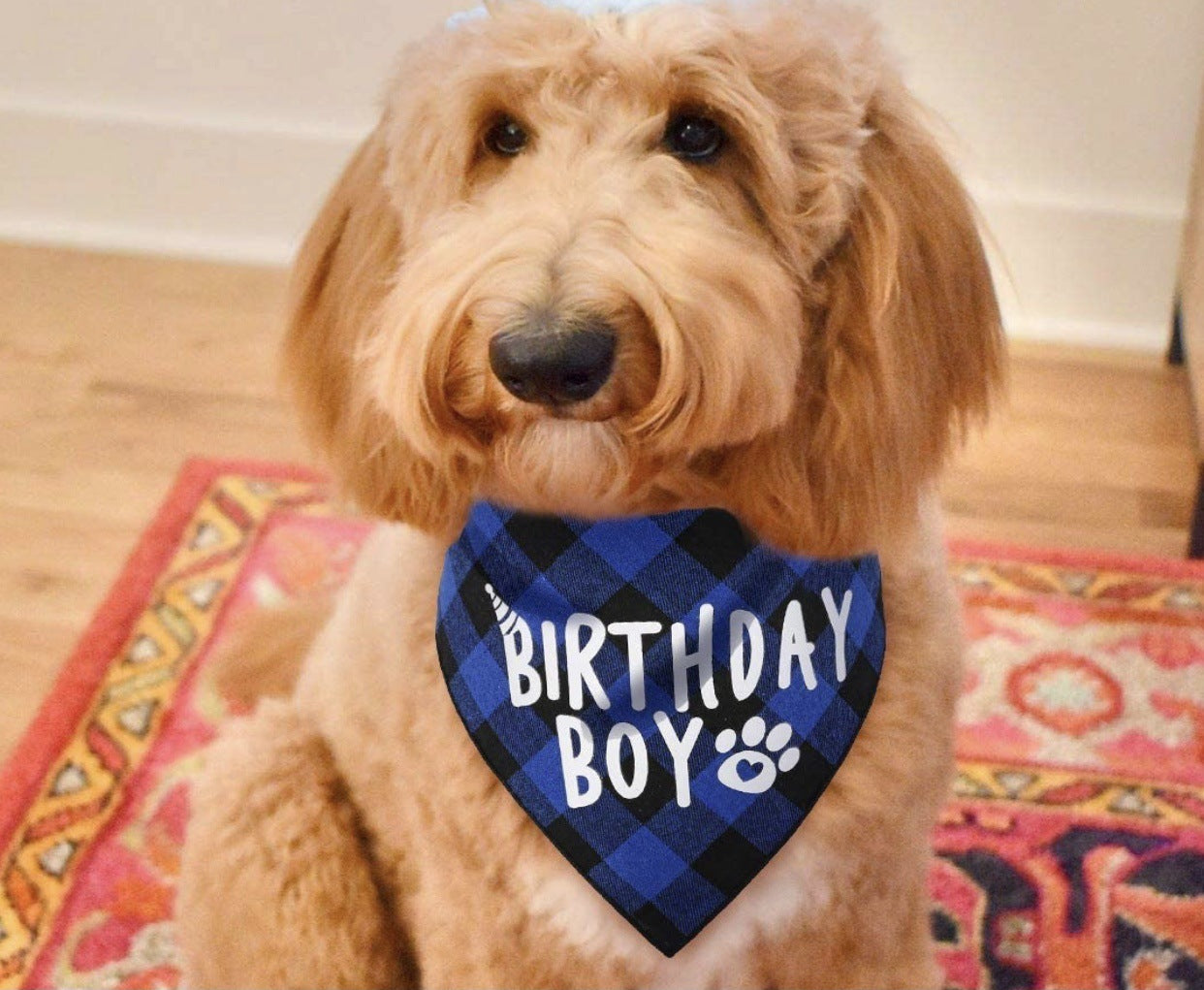 Plaid Dog Birthday Scarf College Style Triangle Dog Bib For Dog’s Birthday birthday