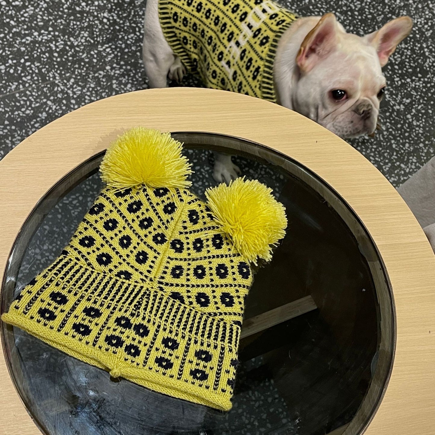 Dog Winter Sweater: Cozy Wool Dog Pullover with Matching Hat Option Hat / M Accessories
