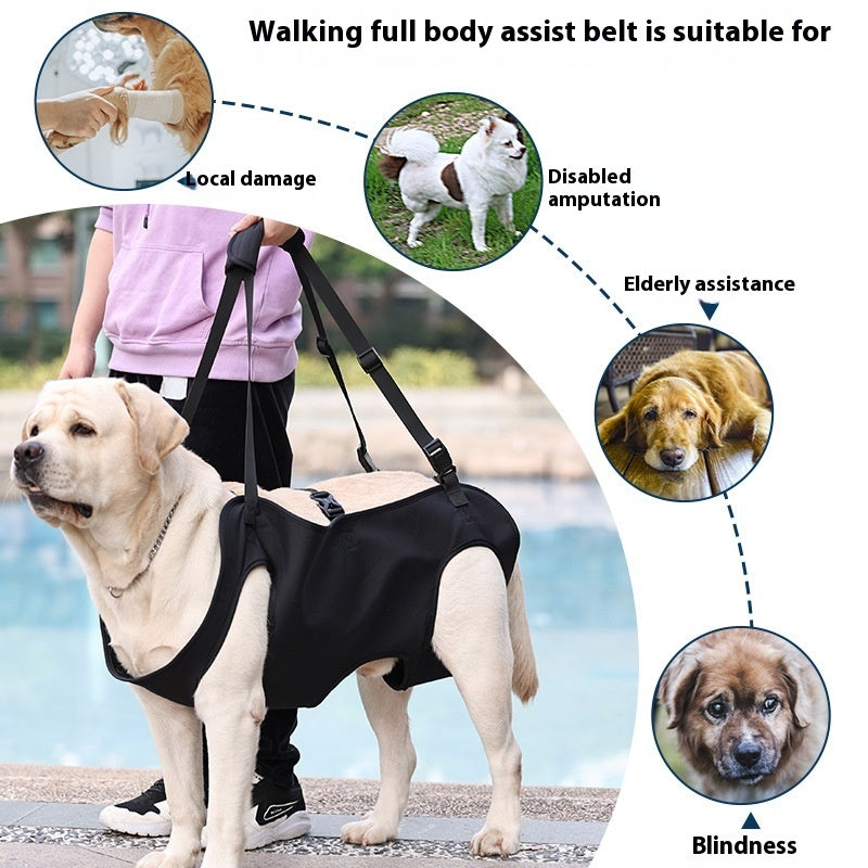 Oxford Cloth Dog Lifting Harness | Support Sling for Injured or Senior Dogs - travel