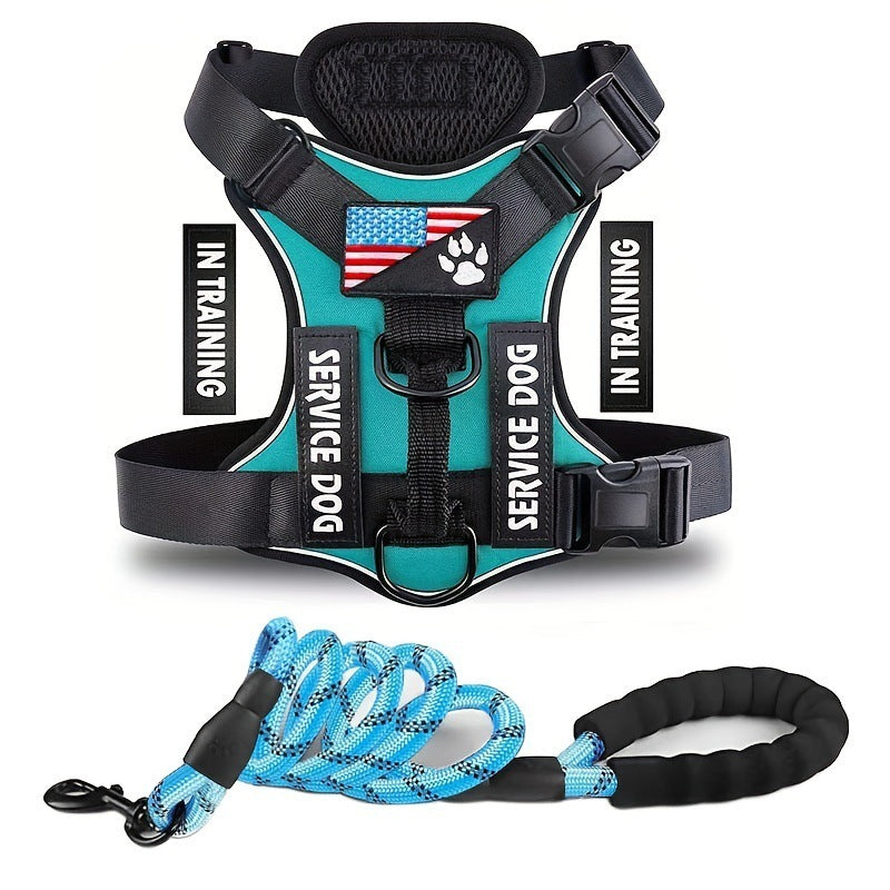Adjustable Nylon Dog Harness and Leash Set with Hand Grip - Green / L - Accessories