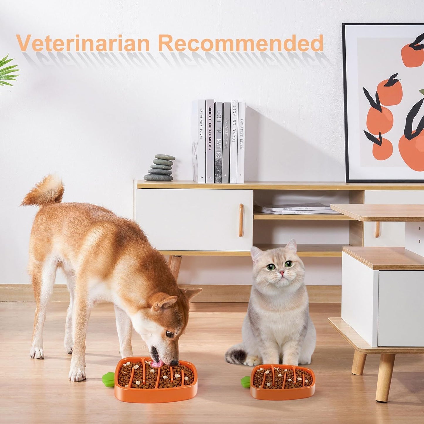 Carrot Design Slow Feeder Dog Bowl | Non Slip Dog Dish for All Dogs home