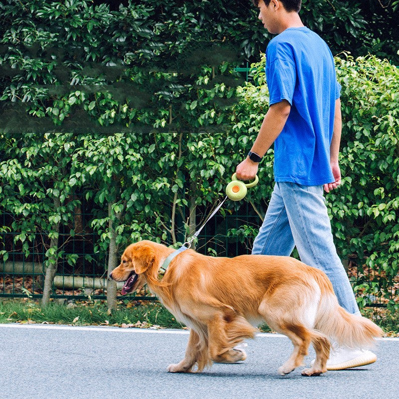 Reflective Retractable Dog Leash for Safe Night Walks Accessories