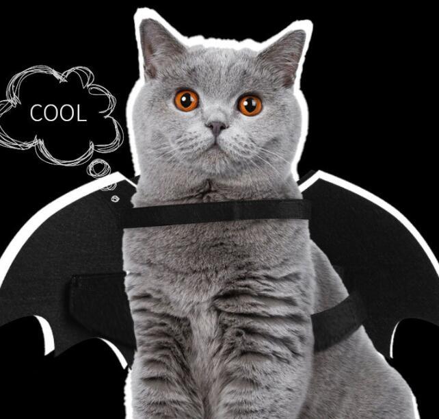 Luminous Bat Wings Dog Costume | Reflective Dog Outfit for Halloween costumes