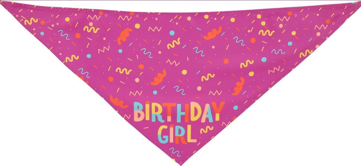 Dog Triangle Scarf Dog Birthday Bone And Saliva Towel Pink / Triangle scarf birthday