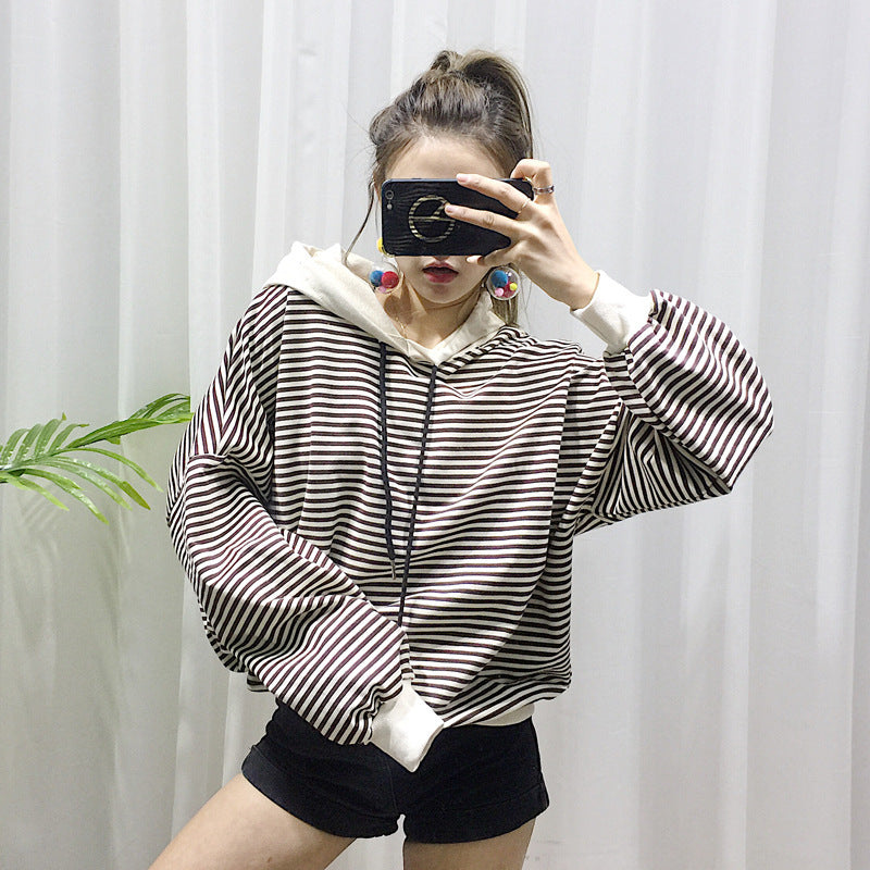 Striped Dog Terry Sweater: Casual Hooded Dog Sweatshirt in Black And Khaki Accessories