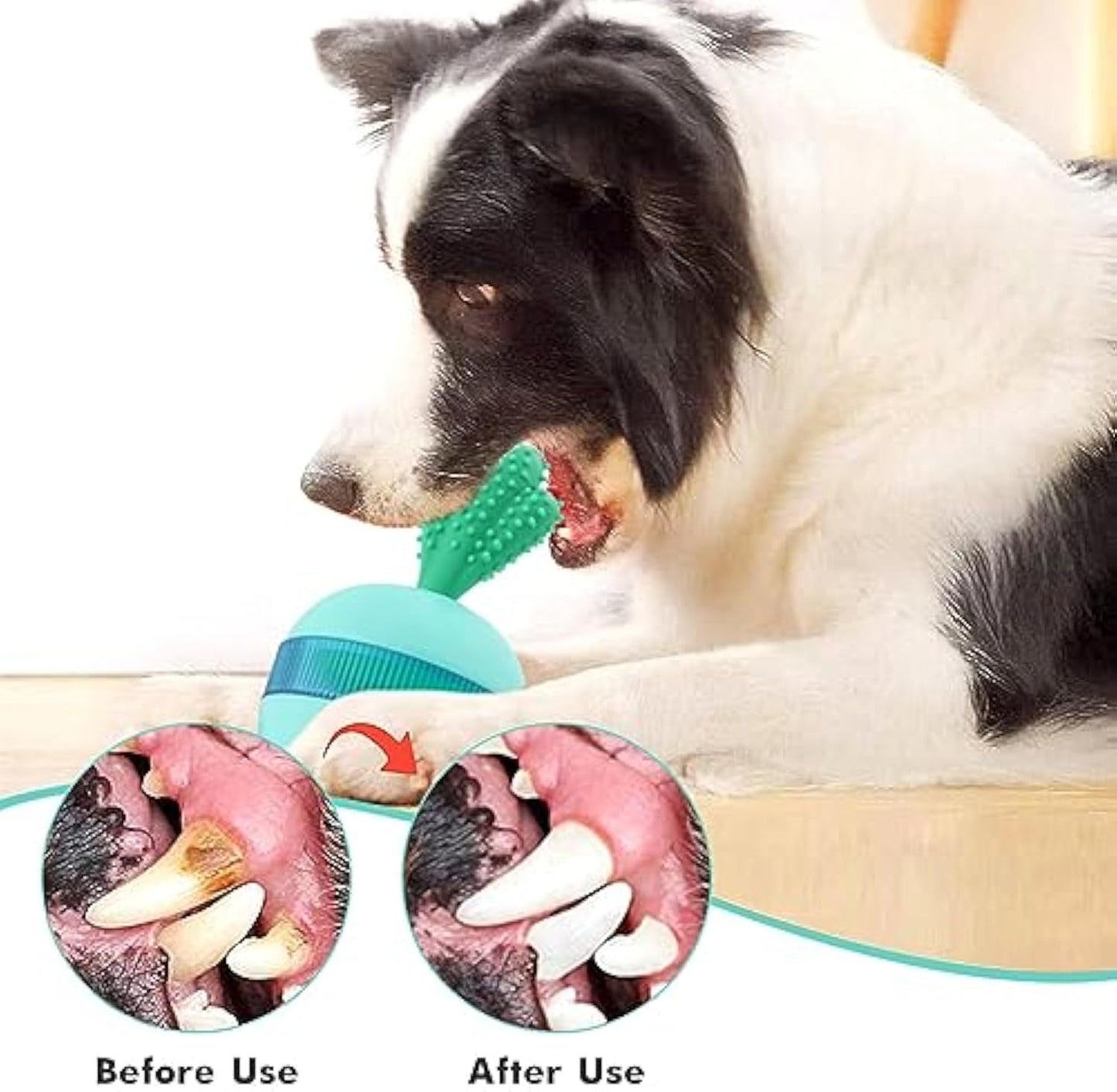Interactive Treat Dispenser Dog Puzzle Toy To Train IQ beds