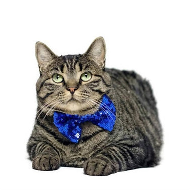 Pet Dog and Cat Party Birthday Hat Dog Crown Cat Birthday Hat birthday