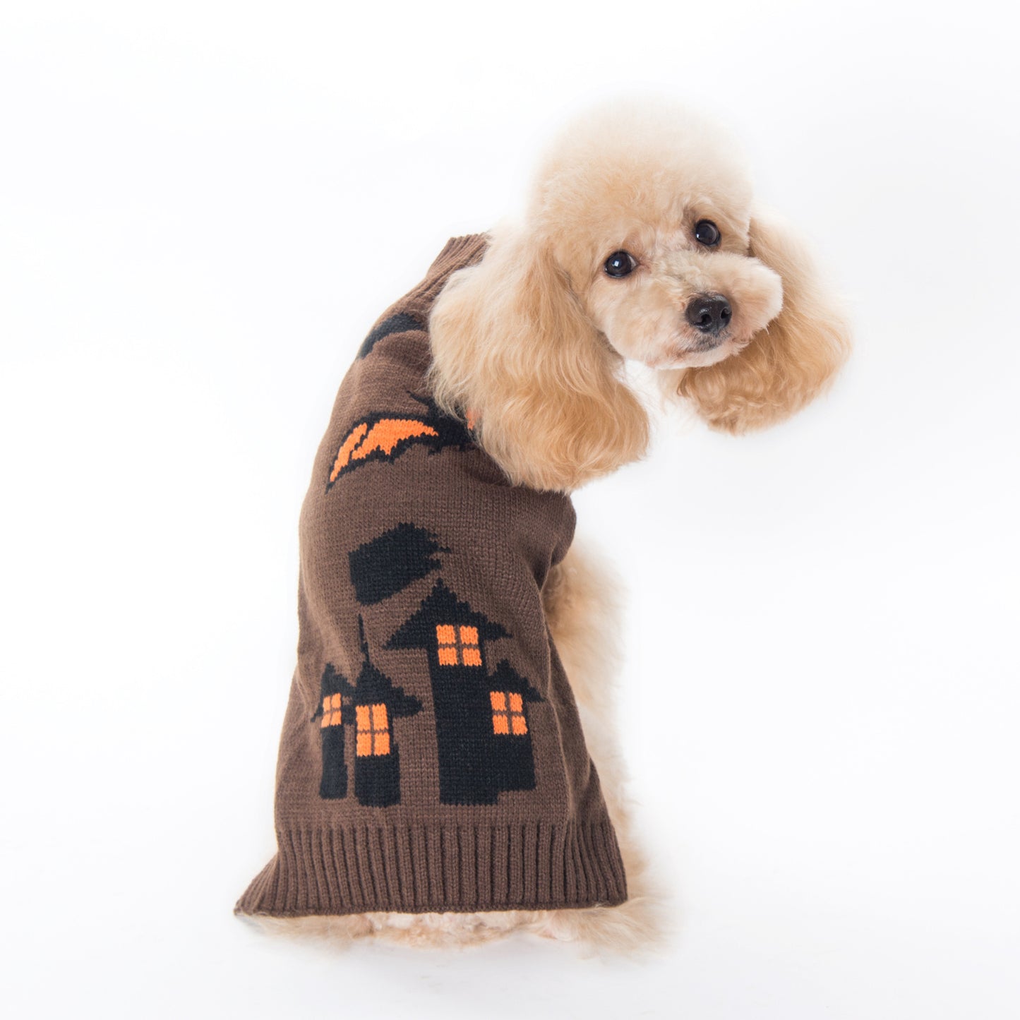 Pumpkin Sweater Dog Clothes: Acrylic Halloween Dog Costume Coffee Bat / L Accessories