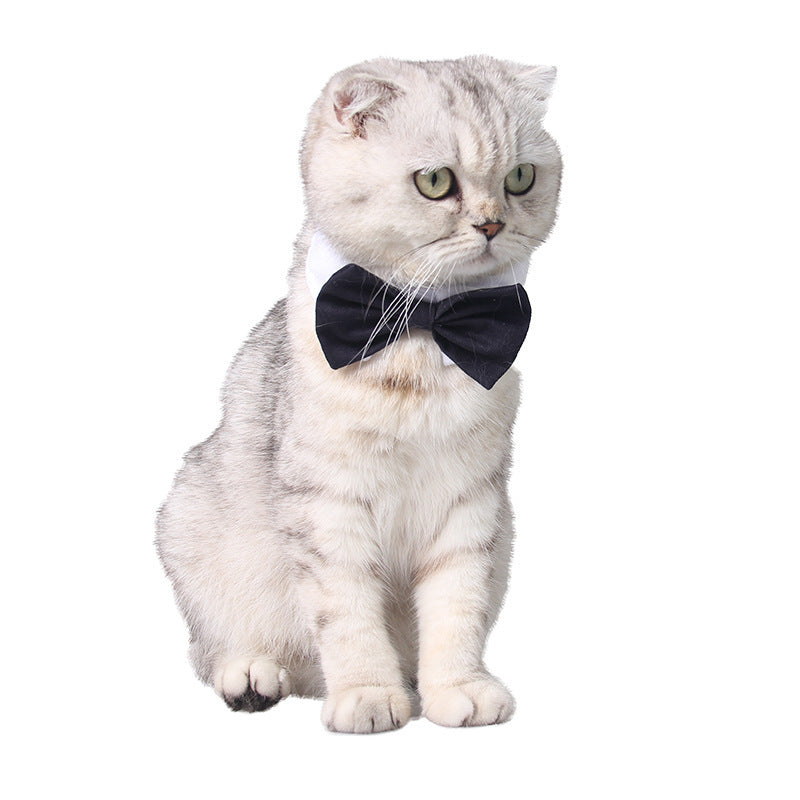 British Style Dog Bow Tie | Cotton Dog Necktie in Multiple Colors bow