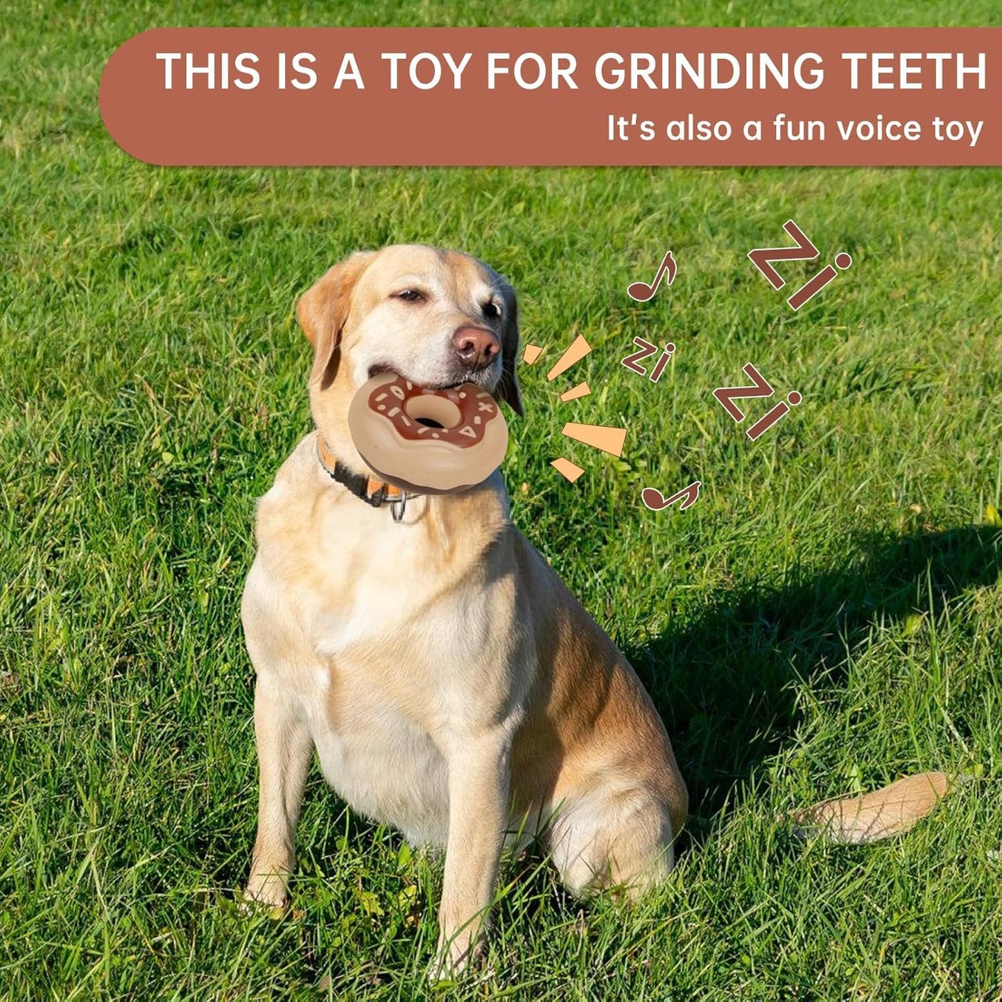 Durable Donut Dog Toy TPR Chewy And Squeaky Interactive Toy for Aggressive Chewers birthday