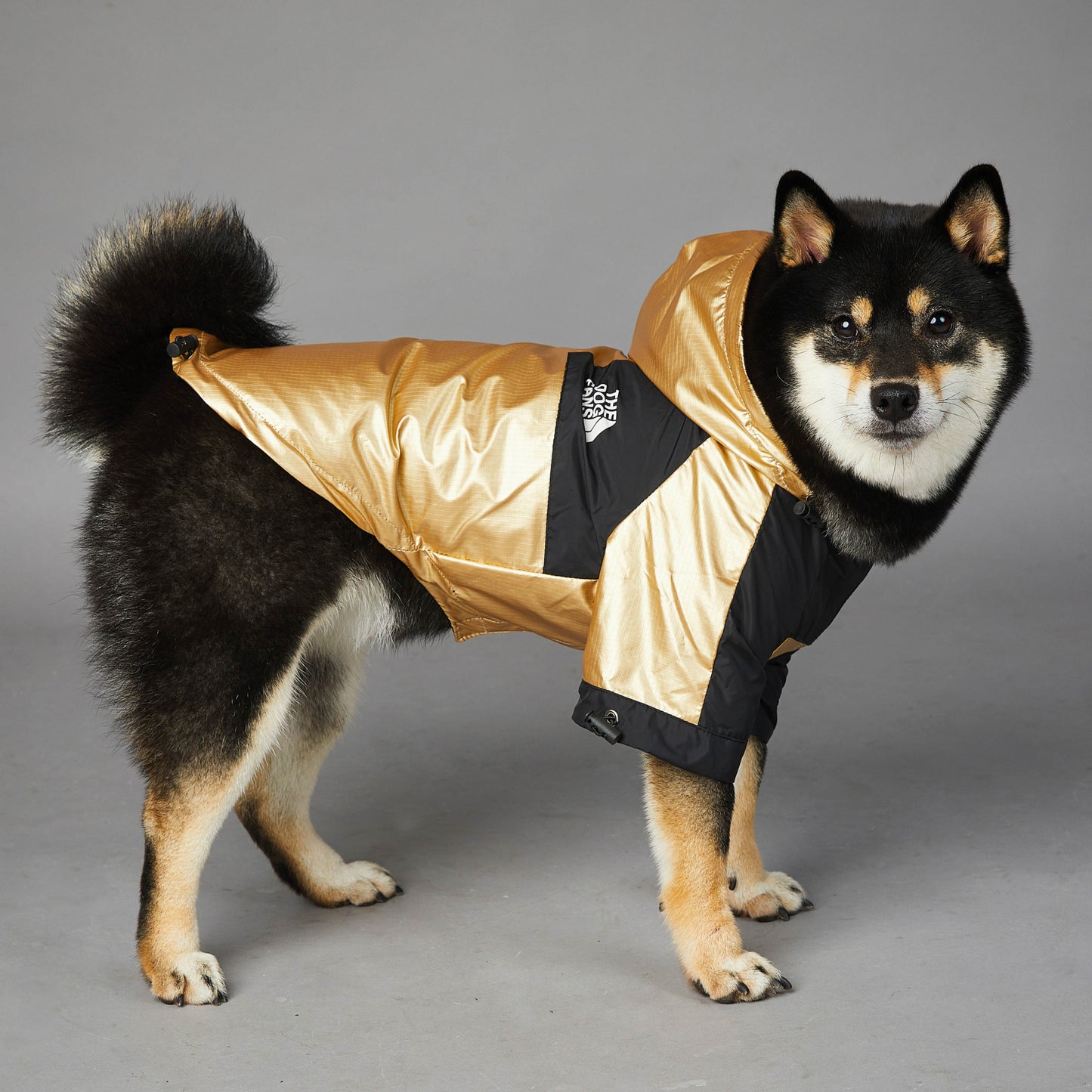 Large Dog Raincoat: European And American Style Waterproof Dog Jacket - Accessories