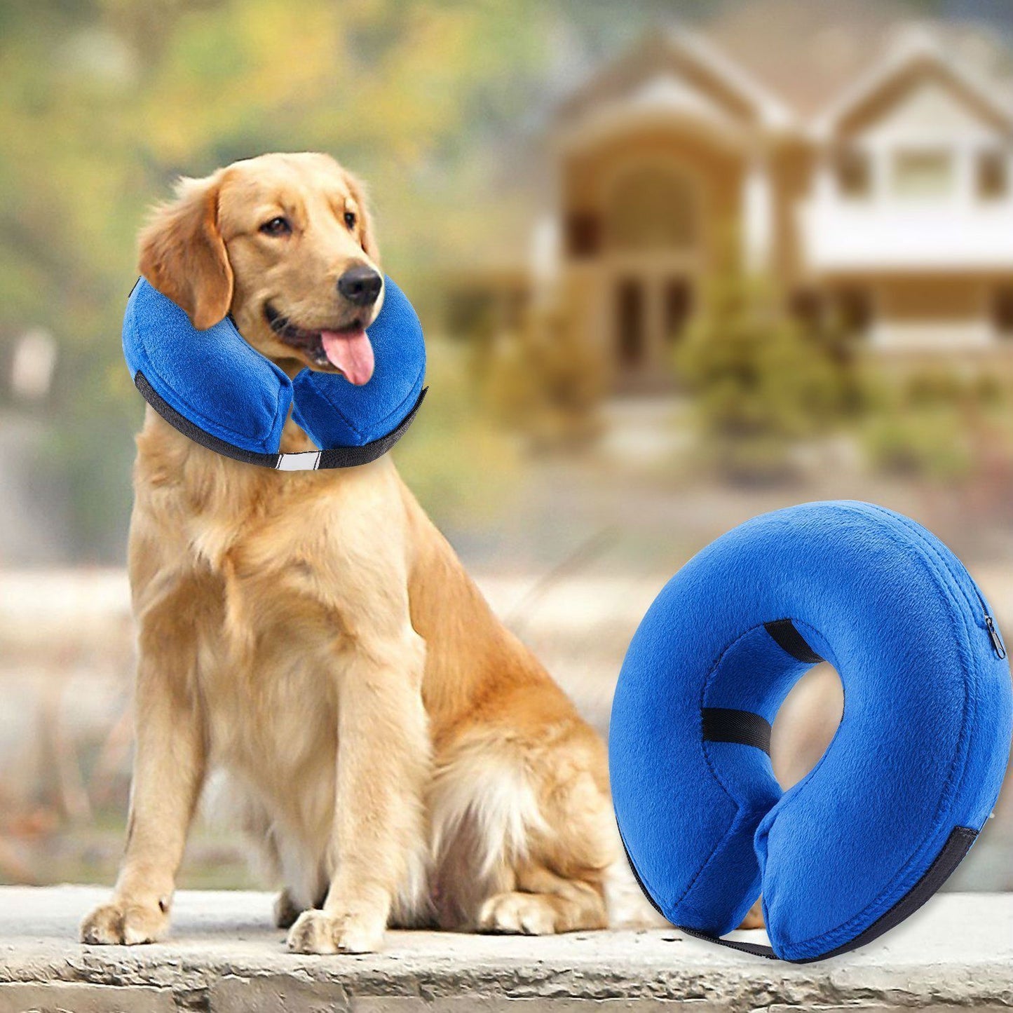 Soft Inflatable Dog Collar | Protective E Collar Recovery For Dogs Dog Collars & Leashes