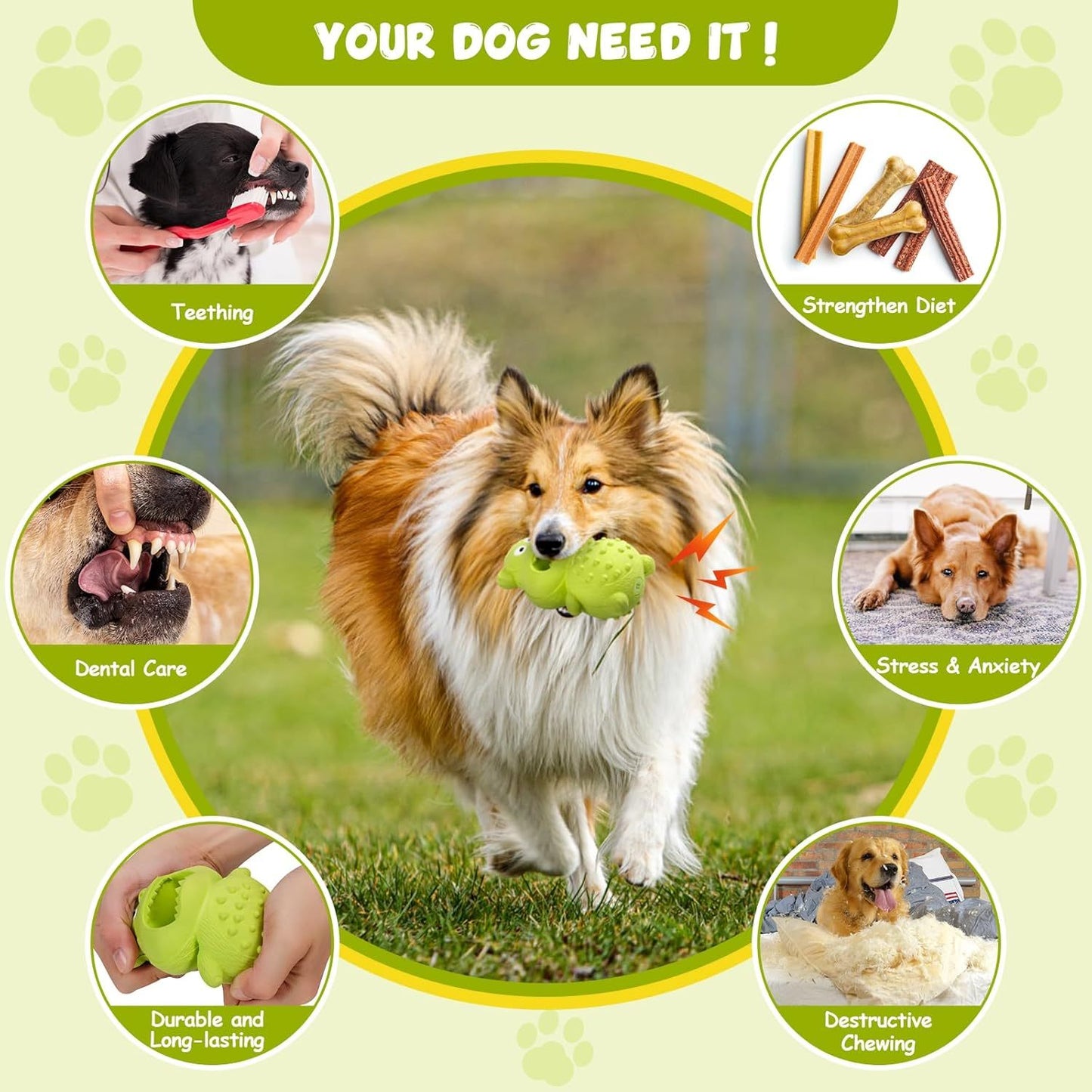 Squeaky Rubber Dog Chew Toy | Interactive Dog Treat Dispenser for Aggressive Chewers beds