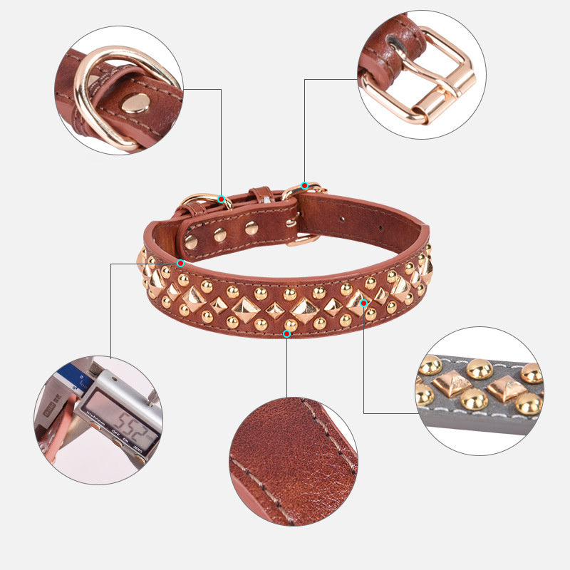 Rivet Golden Leather Dog Collar | Retro Style Dog Collar Accessories