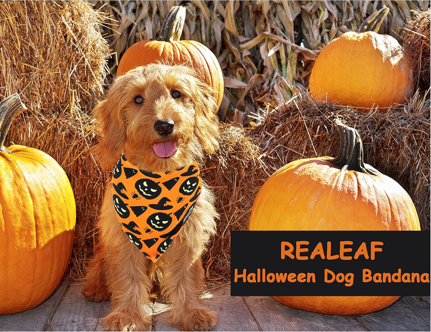 Halloween Dog Bandana | Reversible Pumpkin And Spider Web Dog Bandana bow